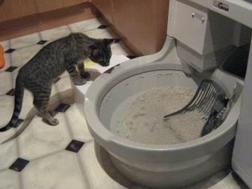 CatGenie 120++ Otomatik Akıllı Kedi Tuvaleti