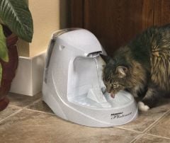PetSafe Drinkwell Platinum Su Pınarı