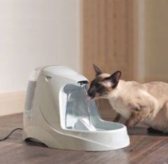 PetSafe Drinkwell Platinum Su Pınarı