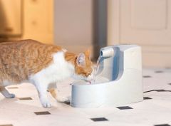 PetSafe Drinkwell Mini Kedi ve Köpek Su Pınarı