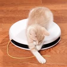 PetSafe FroliCat Flik Kedi Oyuncağı