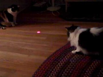 PetSafe Frolicat Bolt Köpek Lazer Oyuncağı