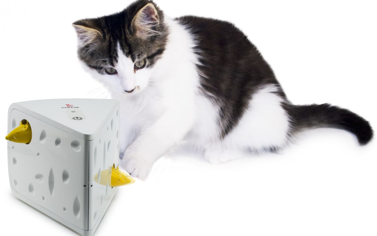 PetSafe FroliCat Chesee Kedi Oyuncağı