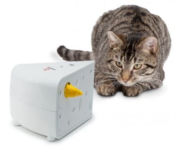 PetSafe FroliCat Chesee Kedi Oyuncağı