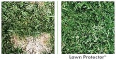 Lawn Protector Çim Koruyucu Su Topları- 2'li Paket