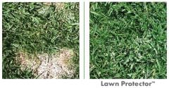Lawn Protector Çim Koruyucu Su Topları- 2'li Paket