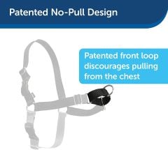 Easy Walk Harness Siyah Köpek Göğüs Tasması