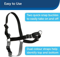 Easy Walk Harness Siyah Köpek Göğüs Tasması