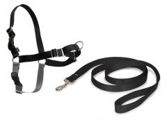 Easy Walk Harness Siyah Köpek Göğüs Tasması