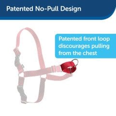 Easy Walk Harness Kırmızı Köpek Göğüs Tasması