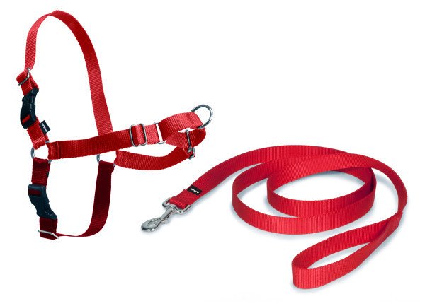 Easy Walk Harness Kırmızı Köpek Göğüs Tasması Small (38-51 cm)