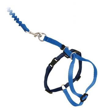 Easy Walk Cat Harness Kedi Gezinti Tasması Mavi