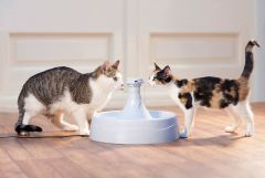 PetSafe Drinkwell 360 Plastik Su Pınarı