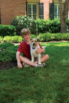 PetSafe Küçük Köpek Spreyli Eğitim Tasma PBC19-11796