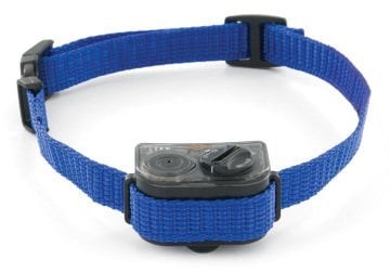 PetSafe Küçük Köpek Spreyli Eğitim Tasma PBC19-11796