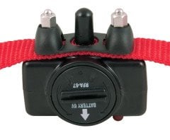 PetSafe Basic Statik Eğitim Tasması PBC19-10765