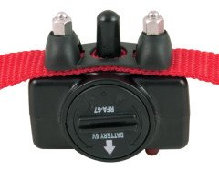 PetSafe Basic Statik Eğitim Tasması PBC19-10765