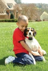 PetSafe Basic Statik Eğitim Tasması PBC19-10765