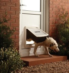PetSafe 760 Ef Staywell Orjinal 2 Yönlü Kilitli Kapı Büyük Boy Beyaz