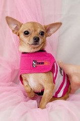 XXS Pembe Thundershirt Sakinleştirici Köpek Giysisi