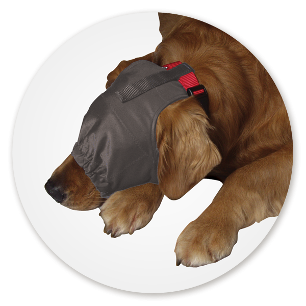 S Thundershirt Köpekler için Sakinleştirici Başlık
