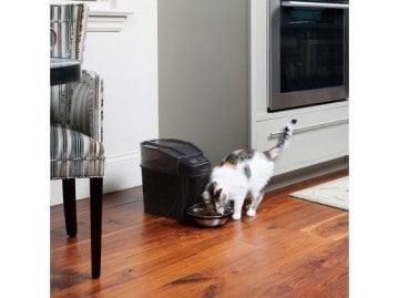 PetSafe Programlanabilir Digital Sağlıklı Mama Kabı