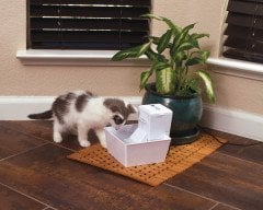 PetSafe Aqua Cube Su Pınarı