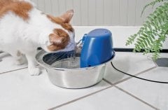 PetSafe Aqua Stream Su Pınarı