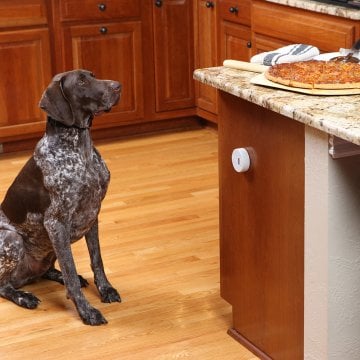 PetSafe Pawz Away Mini Pati Eğitim Cihazı