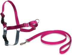 Easy Walk Harness Pembe Köpek Göğüs Tasması