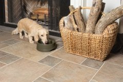 PetSafe Drinkwell Current Küçük Boy Su Pınarı 1.2 Litre