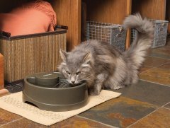 PetSafe Drinkwell Current Orta Boy Su Pınarı 2.4 Litre