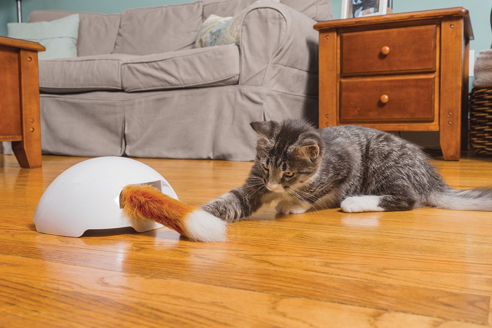 PetSafe Frolicat Fox Den Interactive Oyuncak