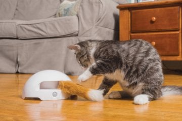 PetSafe Frolicat Fox Den Interactive Oyuncak