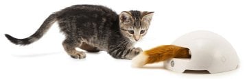 PetSafe Frolicat Fox Den Interactive Oyuncak