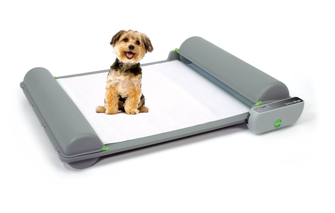 BrilliantPad Otomatik Köpek Tuvaleti