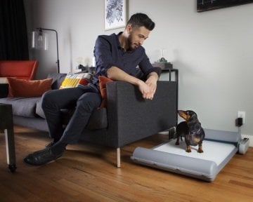 BrilliantPad Otomatik Köpek Tuvaleti