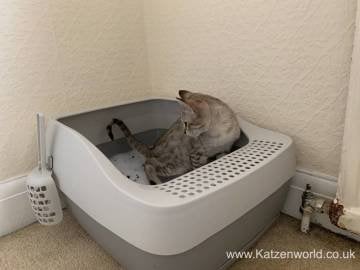 PetSafe Deluxe Kristal Kumlu Kedi Tuvaleti PWM19-16770