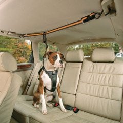 PetSafe Kurgo Oto Zip Line Emniyet Kemeri Siyah/Kavuniçi K00032