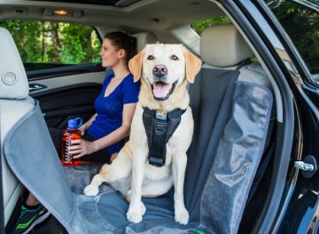 PetSafe Kurgo Tru-Fit Oto Emniyet Kemeri Sırt Tasması Siyah Xl K01259