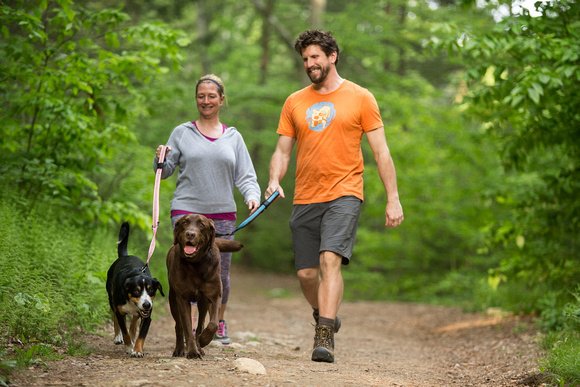 PetSafe Kurgo Quantum 6’sı Birarada Tasma Kayışı Siyah/Kavuniçi K01131