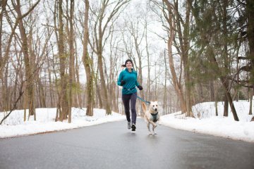 PetSafe Kurgo Quantum 6’sı Birarada Tasma Kayışı Mavi Reflektörlü K01350