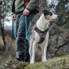 PetSafe Kurgo Journey Air Koşu Göğüs Tasması Siyah/Gri S K01943