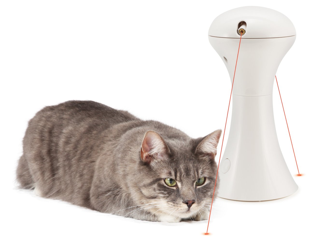 PetSafe Frolicat Multilaser PTY19-16225