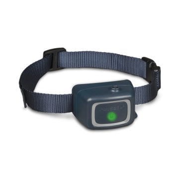 PetSafe Basic Spreyli Eğitim Tasması PBC19-16370
