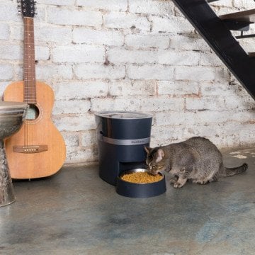 PetSafe Smart Feed Otomatik Mama Kabı