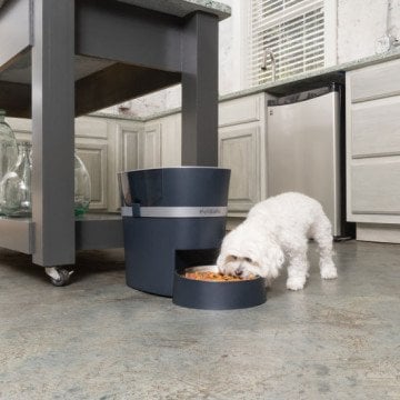 PetSafe Smart Feed Otomatik Mama Kabı
