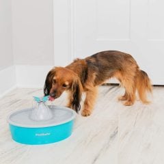 PetSafe Butterfly Su Pınarı 1,5 Lt Su Kapasitesi