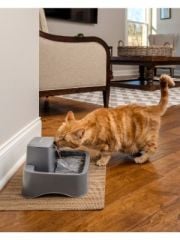 PetSafe 1,8 Lt Küçük Su Pınarı