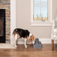 PetSafe 3,7 Lt Orta Boy Su Pınarı PWW17-16778